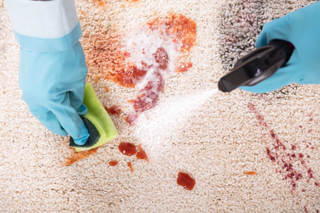Tomato Stains Carpets